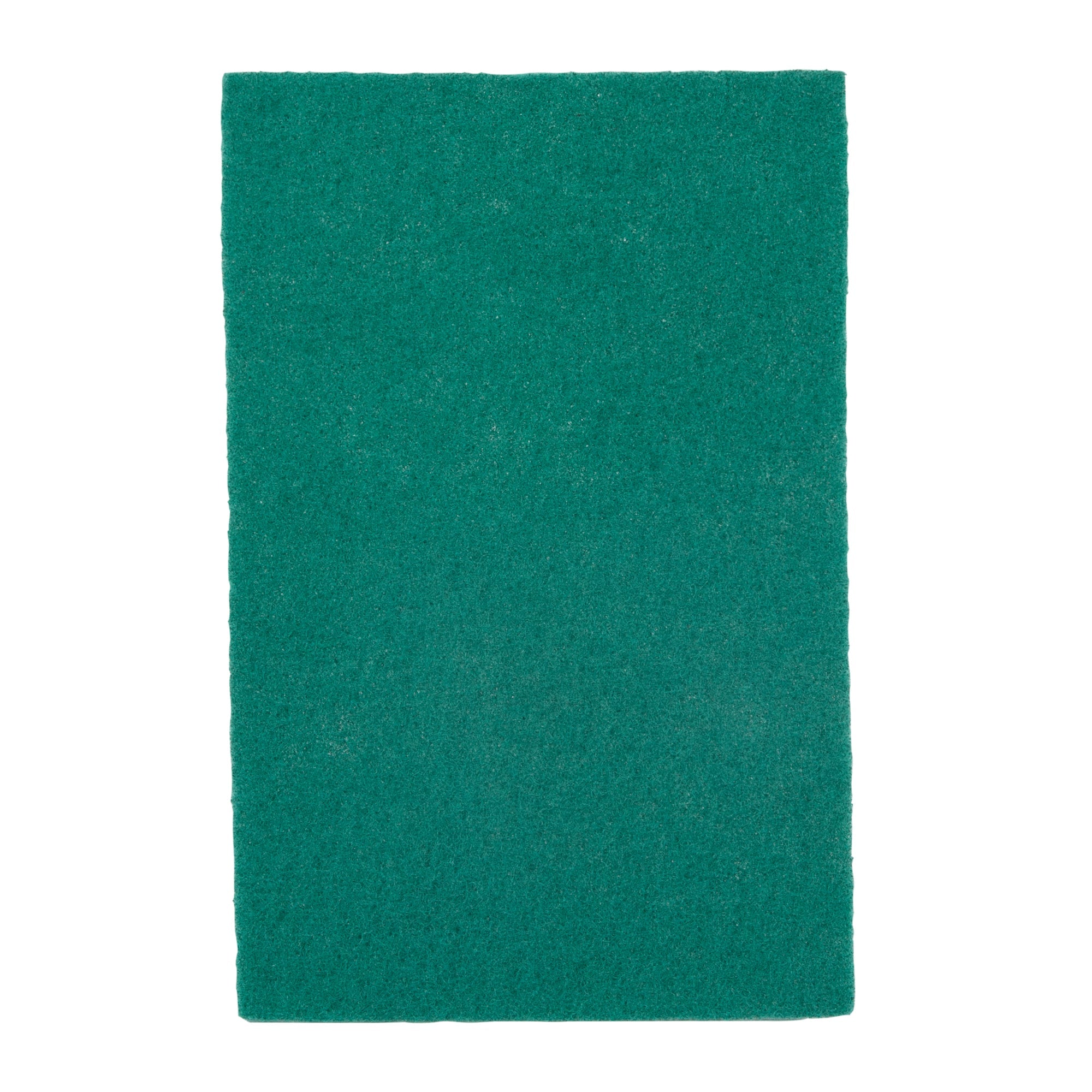 RW Clean Green Polyester Heavy-Duty Scouring Pad - 9" x 6" - 10 count box