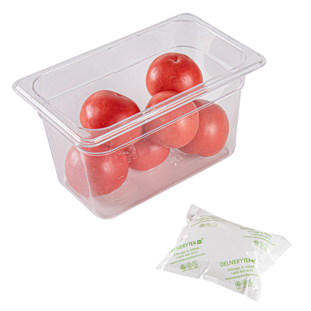 Delivery Tek Plastic Shipping Ice Pack - 5" x 4 1/2" - 100 count box