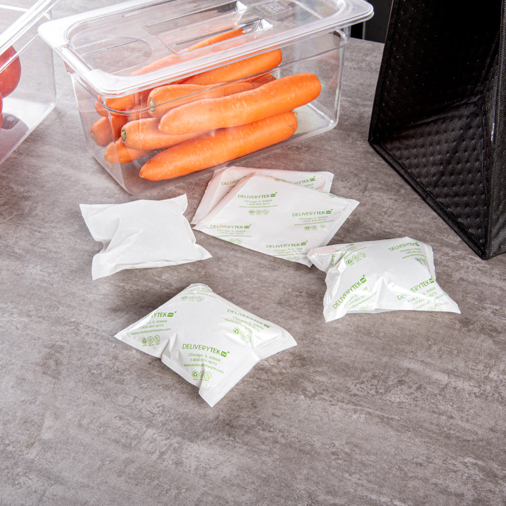 Delivery Tek Plastic Shipping Ice Pack - 5" x 4 1/2" - 100 count box