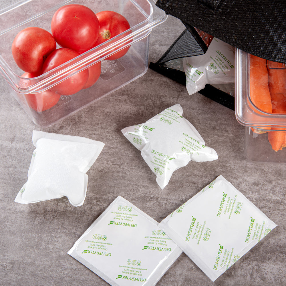 Delivery Tek Plastic Shipping Ice Pack - 5" x 4 1/2" - 100 count box