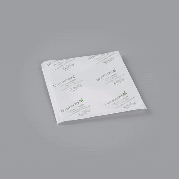 Delivery Tek Plastic Shipping Ice Pack - 6 1/4" x 5" - 100 count box