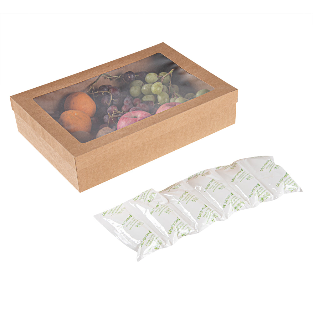 Delivery Tek Plastic Shipping Ice Pack - 1 x 6 Cells - 15 1/4" x 5 3/4" - 100 count box