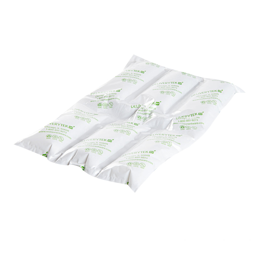 Delivery Tek Plastic Shipping Ice Pack - 3 x 2 Cells - 11 1/2" x 7 3/4" - 10 count box