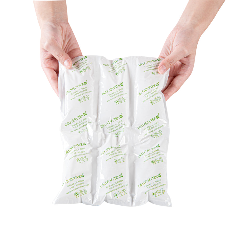 Delivery Tek Plastic Shipping Ice Pack - 3 x 2 Cells - 11 1/2" x 7 3/4" - 100 count box
