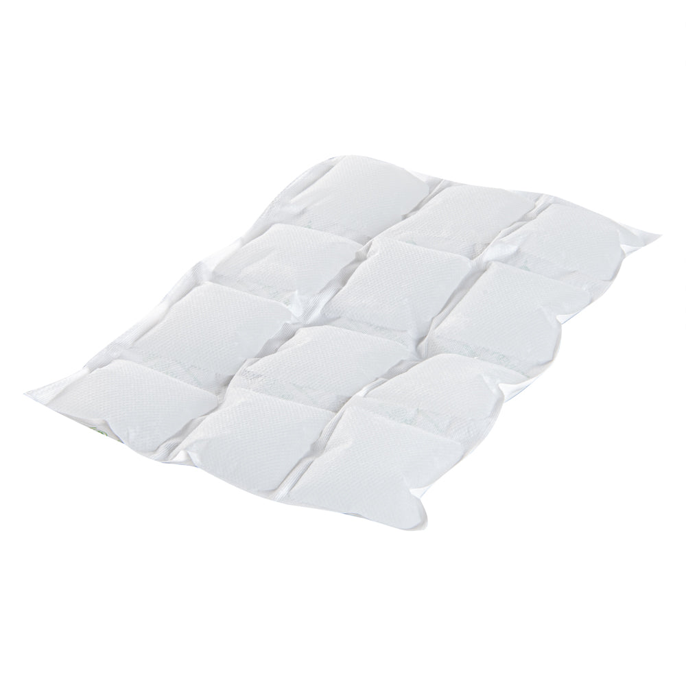 Delivery Tek Plastic Shipping Ice Pack - 3 x 4 Cells - 11 1/2" x 7 3/4" - 10 count box
