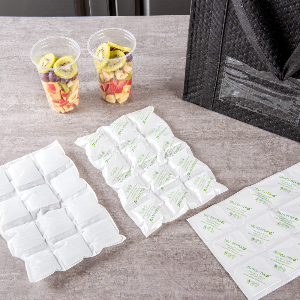 Delivery Tek Plastic Shipping Ice Pack - 3 x 4 Cells - 11 1/2" x 7 3/4" - 10 count box