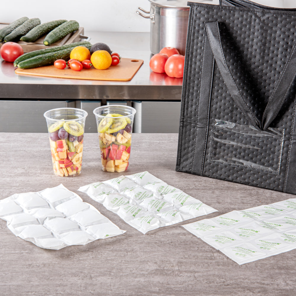 Delivery Tek Plastic Shipping Ice Pack - 3 x 4 Cells - 11 1/2" x 7 3/4" - 100 count box
