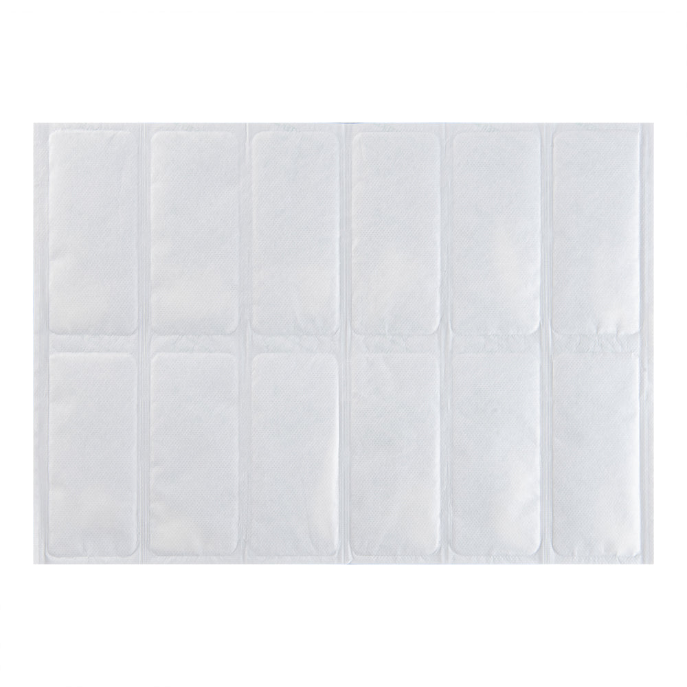 Delivery Tek Plastic Shipping Ice Pack - 2 x 6 Cells - 15 1/4" x 11 1/2" - 10 count box
