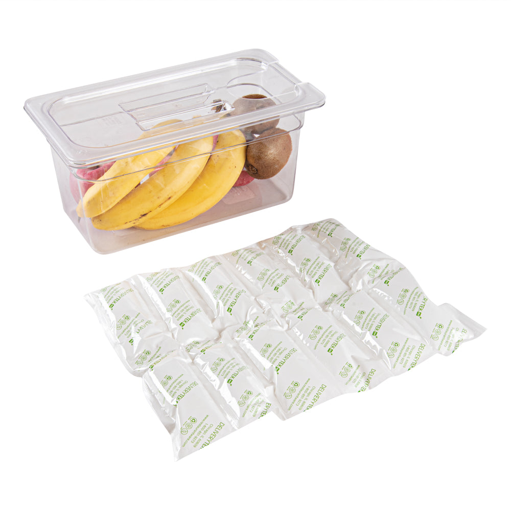 Delivery Tek Plastic Shipping Ice Pack - 2 x 6 Cells - 15 1/4" x 11 1/2" - 100 count box