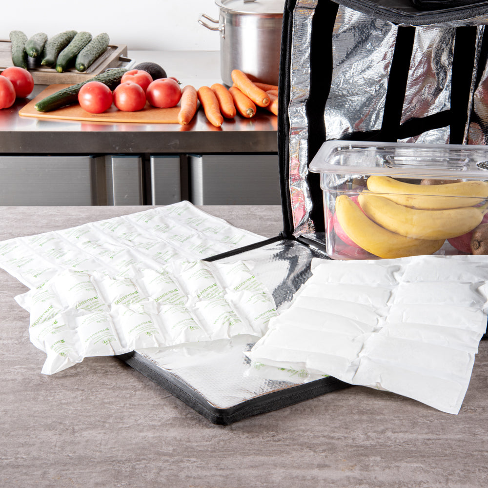 Delivery Tek Plastic Shipping Ice Pack - 2 x 6 Cells - 15 1/4" x 11 1/2" - 100 count box