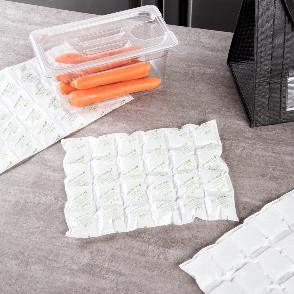 Delivery Tek Plastic Shipping Ice Pack - 4 x 6 Cells - 15 1/4" x 11 1/2" - 10 count box