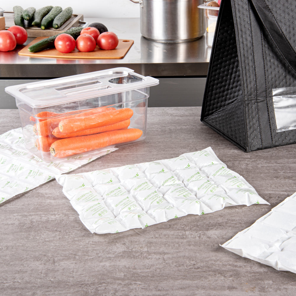 Delivery Tek Plastic Shipping Ice Pack - 4 x 6 Cells - 15 1/4" x 11 1/2" - 10 count box