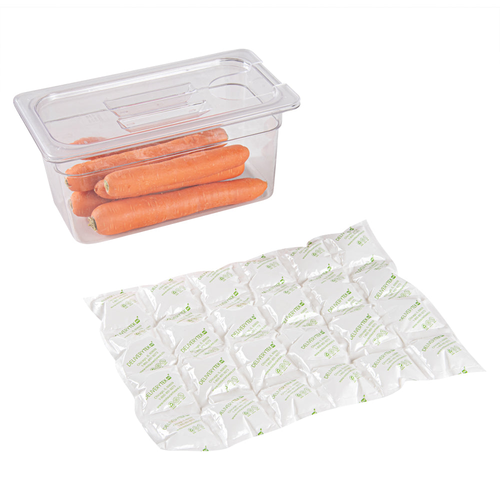 Delivery Tek Plastic Shipping Ice Pack - 4 x 6 Cells - 15 1/4" x 11 1/2" - 100 count box