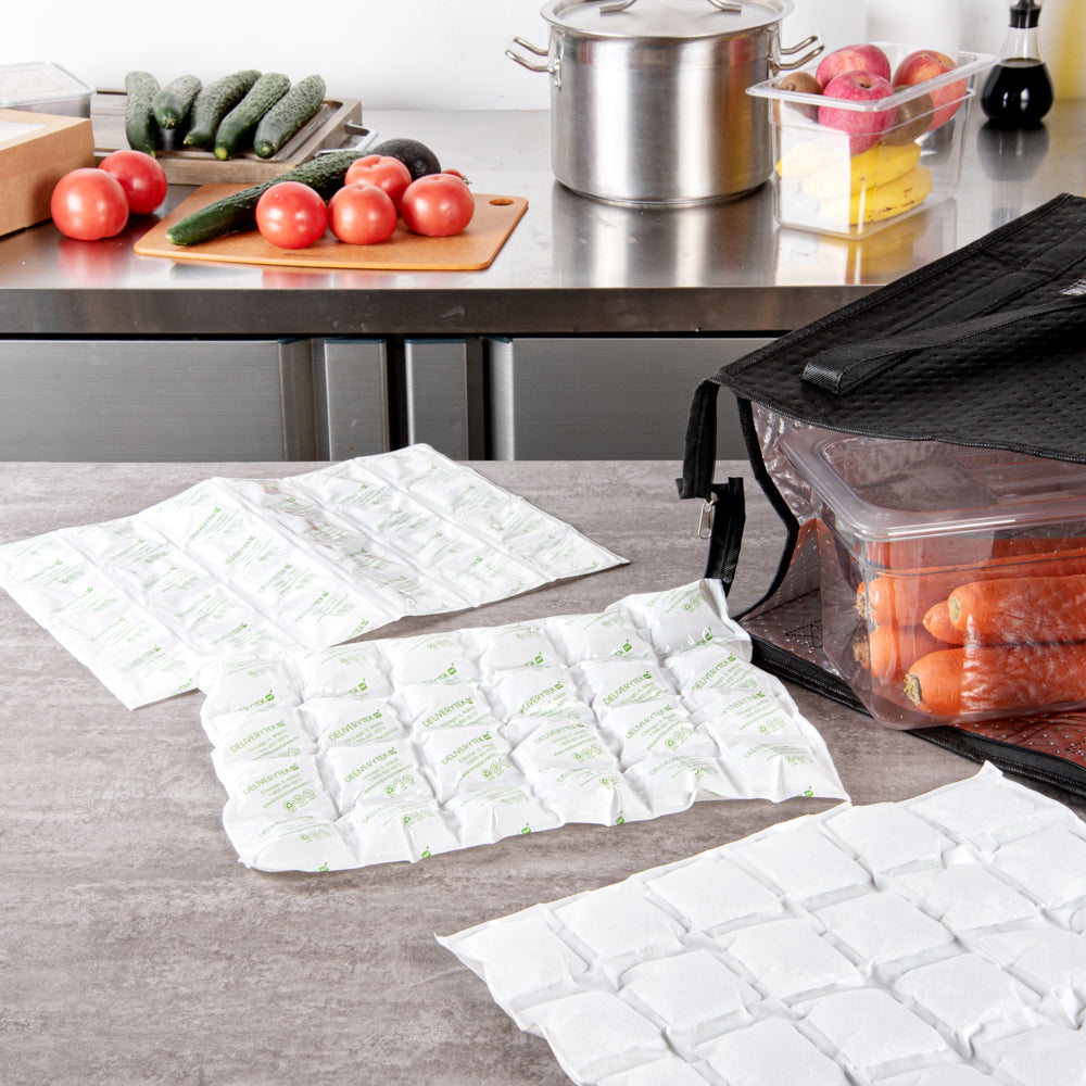 Delivery Tek Plastic Shipping Ice Pack - 4 x 6 Cells - 15 1/4" x 11 1/2" - 100 count box