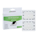 Pest Tek Plastic Mouse Glue Trap - Set of 2 - 4 1/2" x 3 1/4" x 1/2" - 1 count box