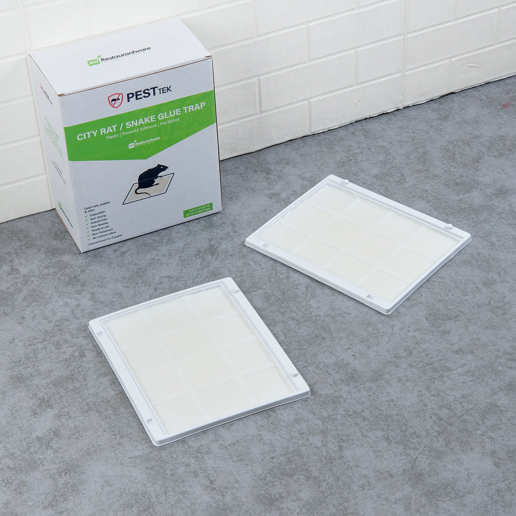 Pest Tek Plastic City Rat / Snake Glue Trap - Set of 12 - 11 3/4" x 9 3/4" x 1/2" - 10 count box