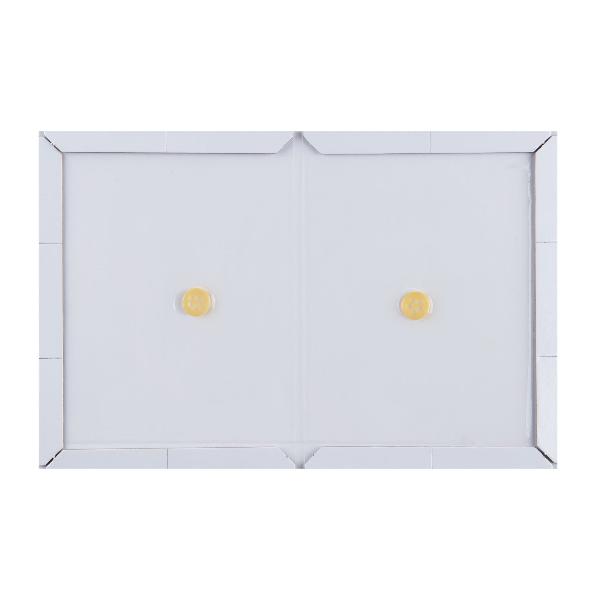 Pest Tek Paper Glue Board Trap - for Rat, Mouse, Snake and Roach - 8 1/2" x 6 1/2" x 1/2" - 10 count box