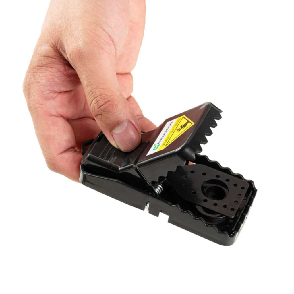 Pest Tek Black Plastic Mouse Trap - Interlocking Teeth, Reusable - 4 1/2" x 2" x 2 1/4" - 2 count box