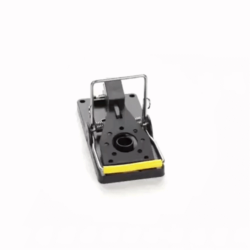 Pest Tek Black Plastic Mouse Trap - Kill Bar, Reusable - 3 3/4" x 1 3/4" x 2 1/4" - 2 count box
