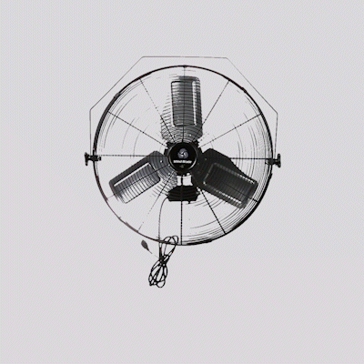 Wind Blade 3-Speed Industrial Wall-Mount Fan - Tilt Head, 1/3 HP, 6,250 CFM - 24" - 1 count box