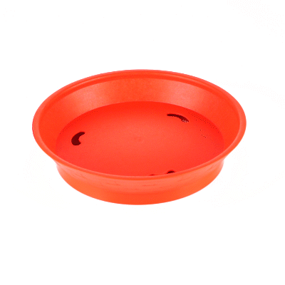 Chef 101 Round Red Plastic Diner Platter - with Base - 8 3/4" x 8 3/4" x 1 3/4" - 10 count box