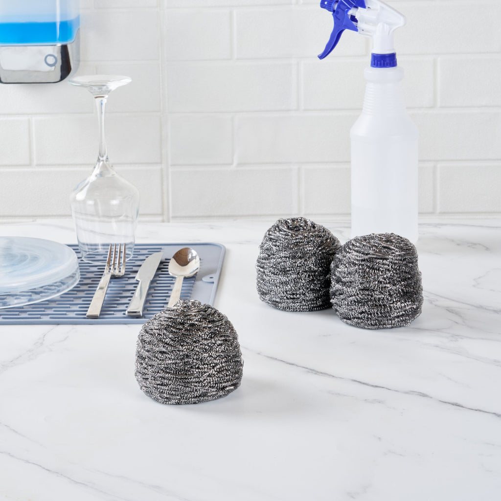 Clean Tek Professional 100g Stainless Steel Scrubber - 10 count box