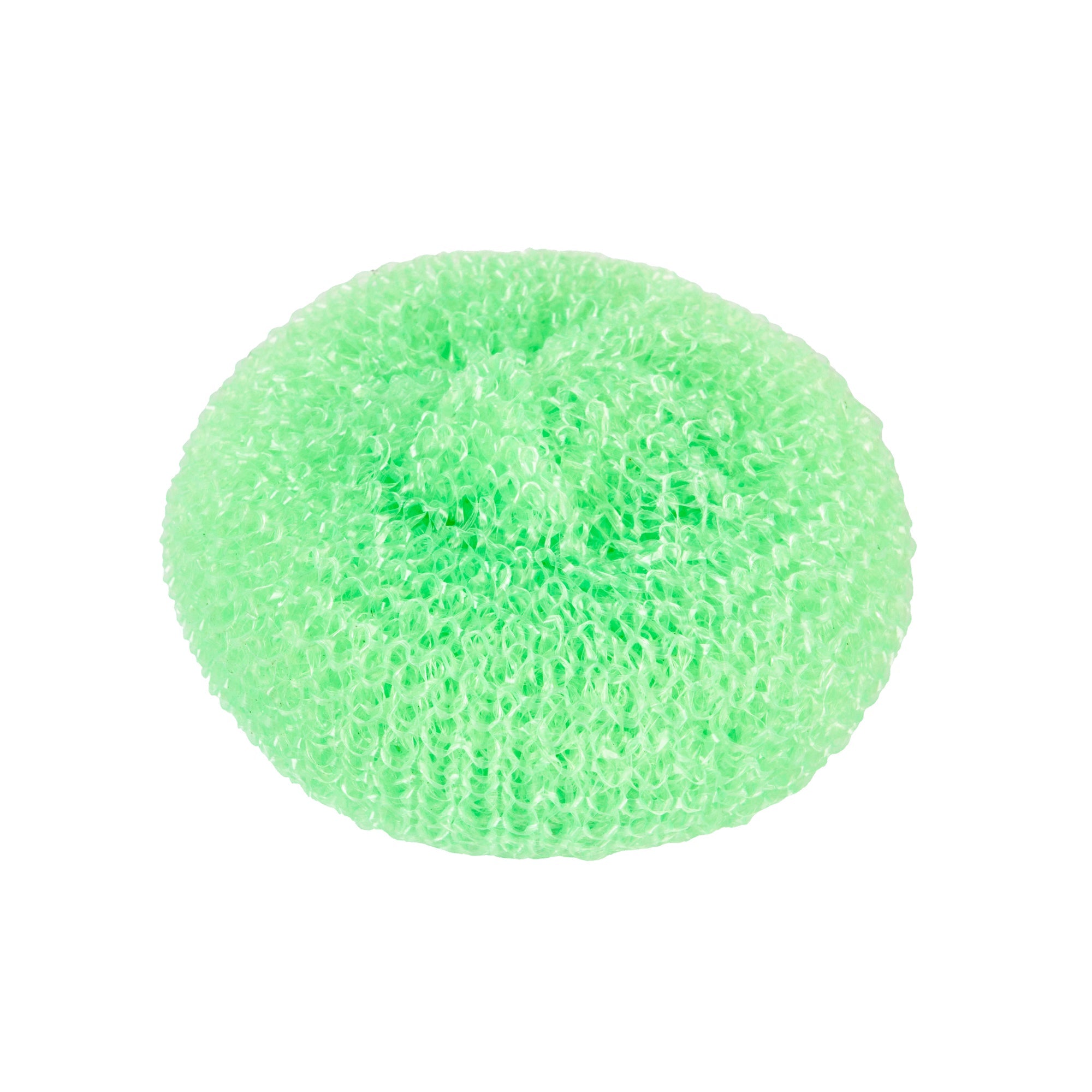Clean Tek Professional Assorted Plastic Mesh Dish Scrubber - Non-Scratch - 4 count box